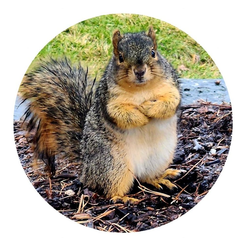 Meet your Posher, Brandon